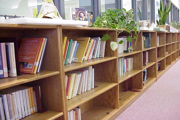 Library Book Shelf